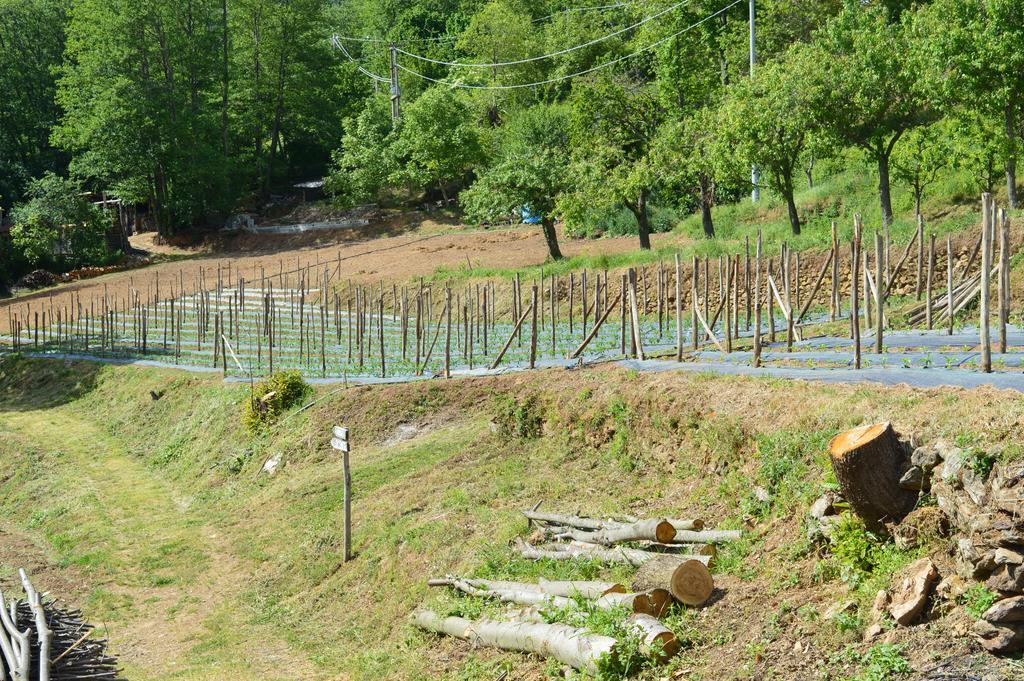 Agriturismo E Turre Serrastretta Ngoại thất bức ảnh