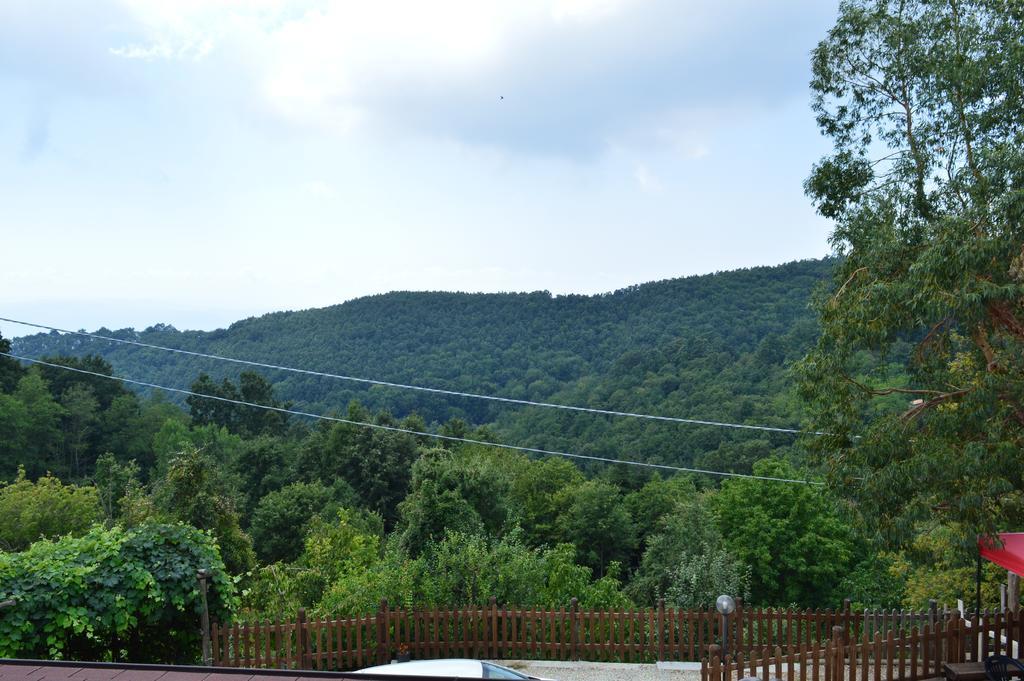 Agriturismo E Turre Serrastretta Ngoại thất bức ảnh
